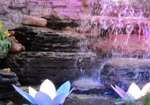 waterfall at butterfly garden