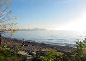 Driftwood on the beach with Toronto in the background