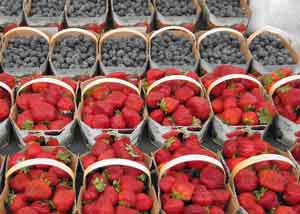 Baskets of Berries