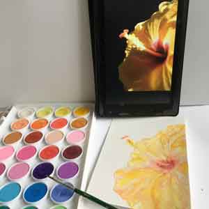 Painting a Hibiscus using watercolors