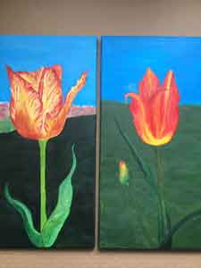 Two red and yellow tulip paintings